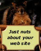 Nuts About Your Site Award